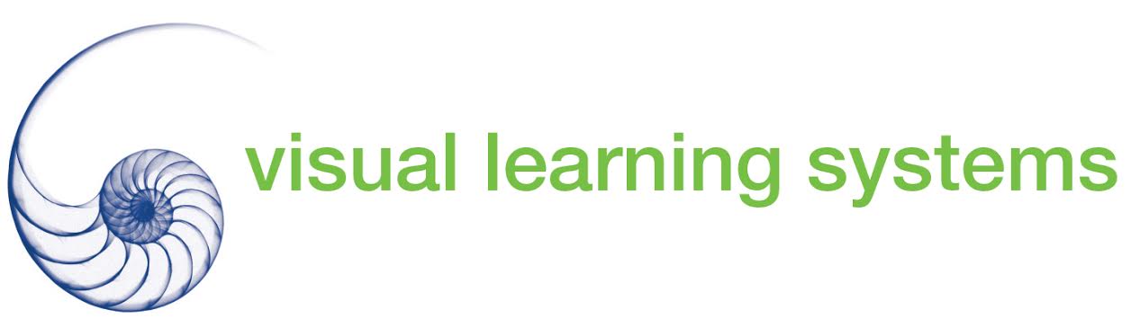 Visual Learning Systems